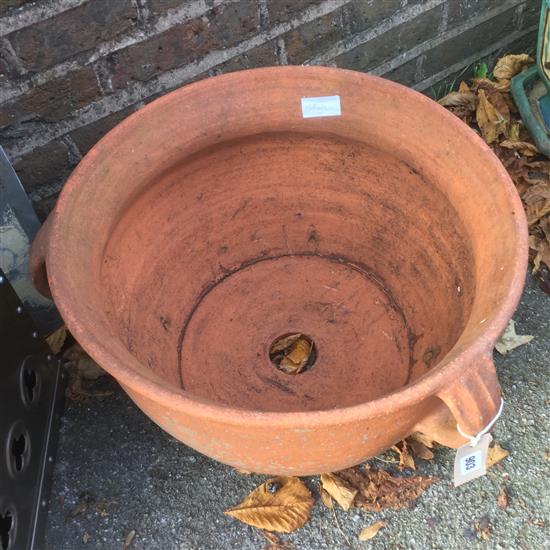 Terracotta pot